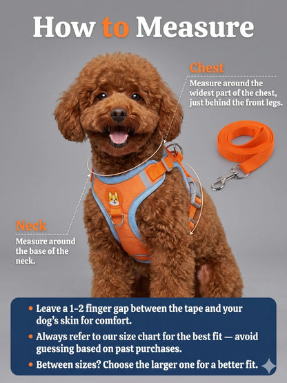 Elevate Your Pet's Outdoor Experience with Our 2 Pack Adjustable Suede Harness & Leash Set - Soft, Durable, and Reflective for Safe Walks Day or Night!