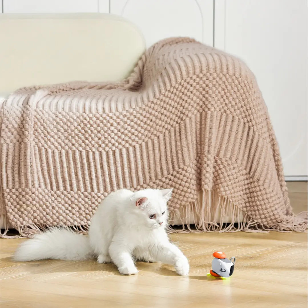 Engage Your Cat with the Smart Rolling Electric Ball Toy - Remote-Controlled Fun for Endless Entertainment!