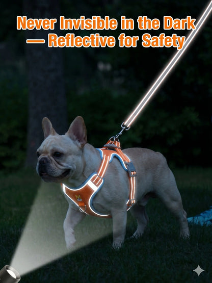 Elevate Your Pet's Outdoor Experience with Our 2 Pack Adjustable Suede Harness & Leash Set - Soft, Durable, and Reflective for Safe Walks Day or Night!