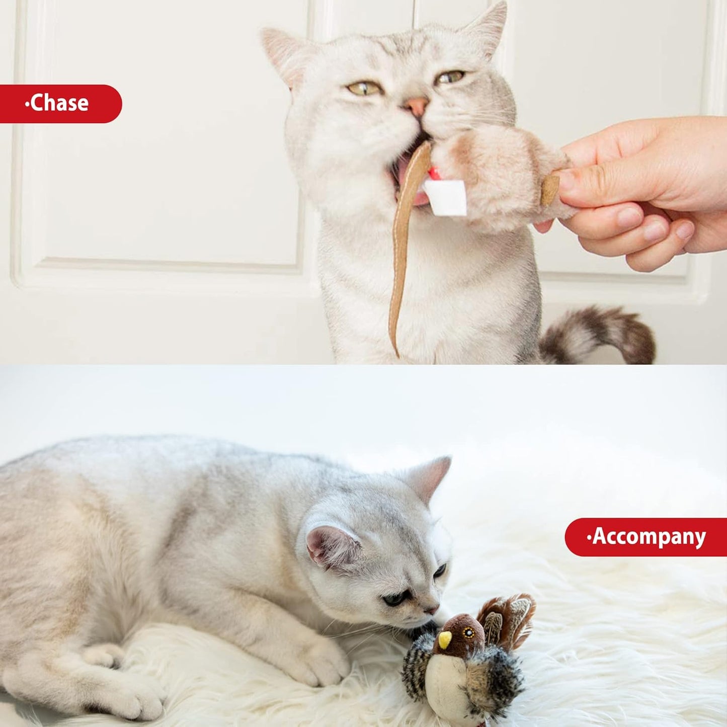 Exciting Chirping Bird & Squeaky Mouse Cat Toy Set - Interactive Play for Indoor Cats - Perfect for All Breeds!