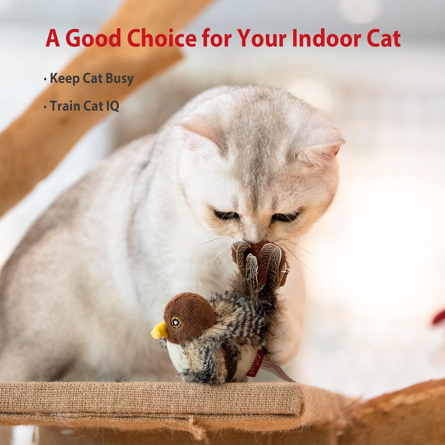 Exciting Chirping Bird & Squeaky Mouse Cat Toy Set - Interactive Play for Indoor Cats - Perfect for All Breeds!